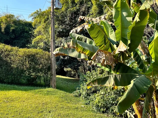 Imagem 13: Chácara de luxo à venda em Itajubá-MG, bairro Morro Grande: 5 quartos, 2 suítes, 3