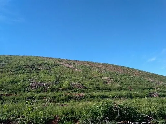 Imagem 3: Sítio à venda em Maria da Fé-MG, bairro Reserva: 145.000,00 m² de área para