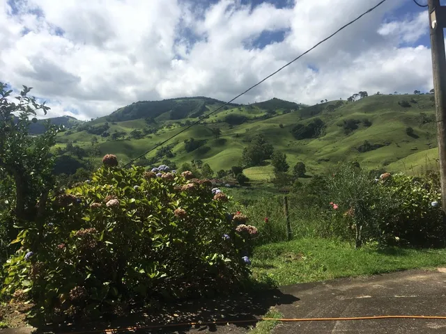 Imagem 9: Fazenda de Luxo à Venda em Delfim Moreira-MG, Bairro Taquaral: 4 Quartos, 1 Suíte, 2