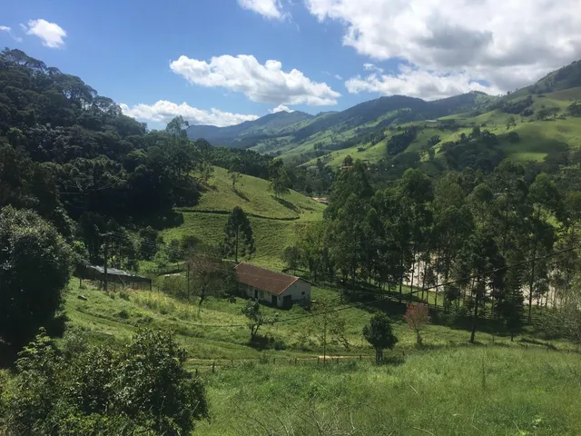 Imagem 5: Fazenda de Luxo à Venda em Delfim Moreira-MG, Bairro Taquaral: 4 Quartos, 1 Suíte, 2