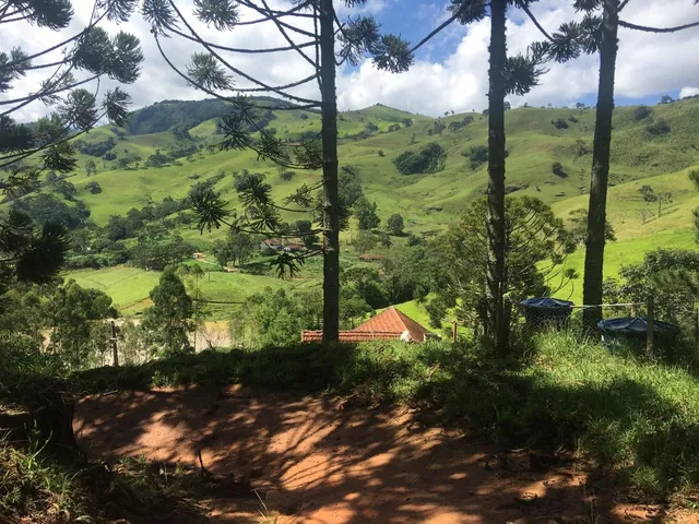 Imagem 7: Fazenda de Luxo à Venda em Delfim Moreira-MG, Bairro Taquaral: 4 Quartos, 1 Suíte, 2