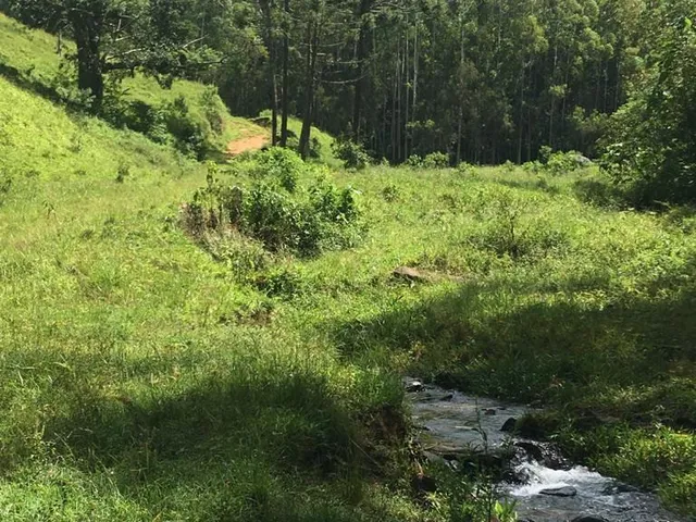 Imagem 8: Fazenda de Luxo à Venda em Delfim Moreira-MG, Bairro Taquaral: 4 Quartos, 1 Suíte, 2