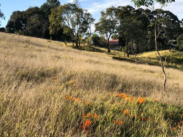 Imagem 11: Terreno à venda em Itajubá-MG, no bairro Nações, com 1.120,00 m² de área