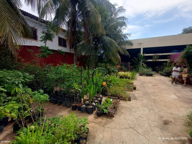 Imagem 4: Comercial para Venda em Araruama, Coqueiral