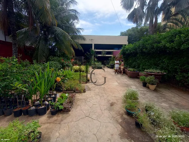 Imagem 5: Comercial para Venda em Araruama, Coqueiral