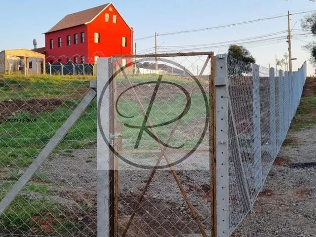 Imagem 5: Terreno à venda em Curitiba, Santa Felicidade, 1950m²