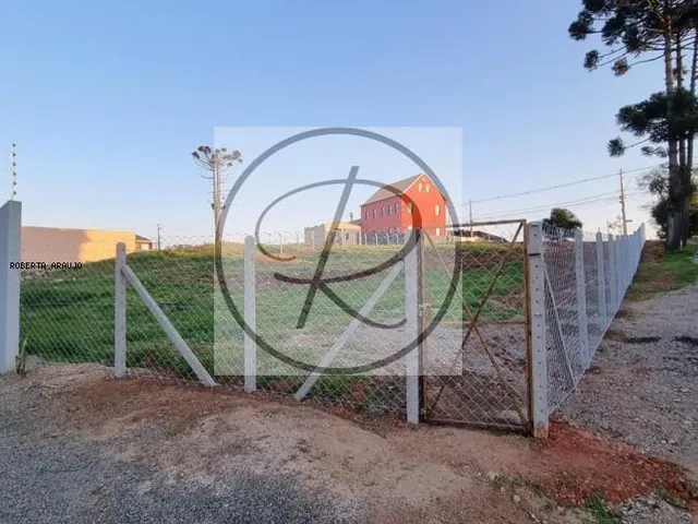 Imagem 6: Terreno à venda em Curitiba, Santa Felicidade, 1950m²