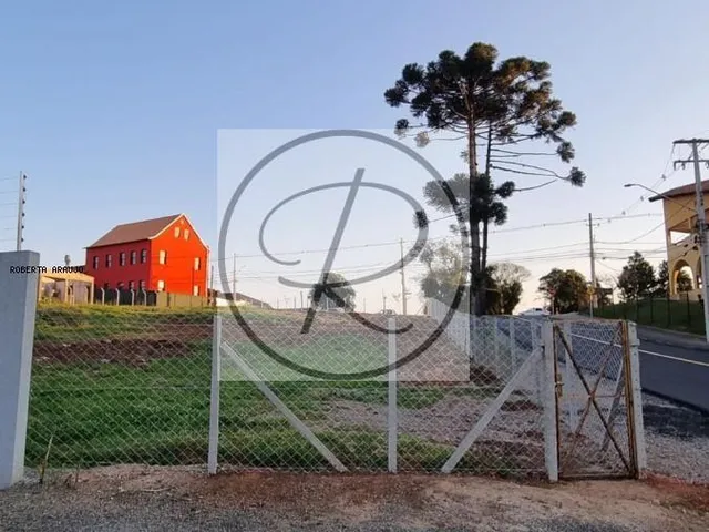 Imagem 7: Terreno à venda em Curitiba, Santa Felicidade, 1950m²