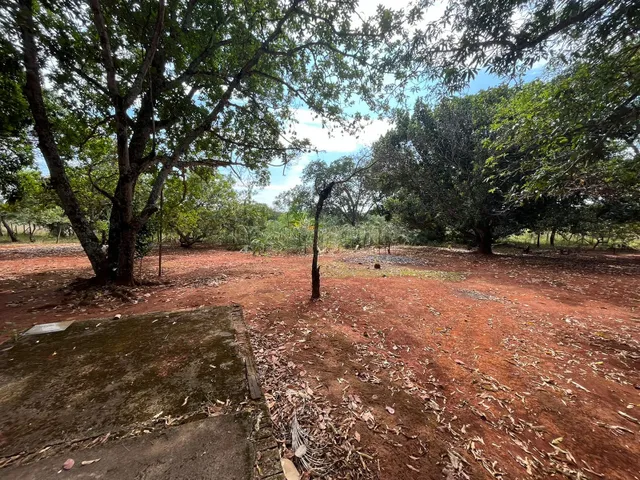 Imagem 3: Vendo Área Terreno Chácara 11.625m² Estância Vargem Bonita GO-020 Senador Canedo