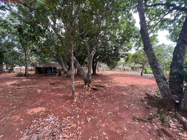 Imagem 2: Vendo Área Terreno Chácara 11.625m² Estância Vargem Bonita GO-020 Senador Canedo