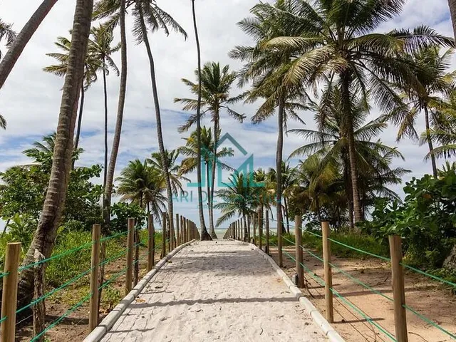 Imagem 13: Villa Naluri - Apartamento Studio, 40m², a 80 metros da paradisíaca praia de