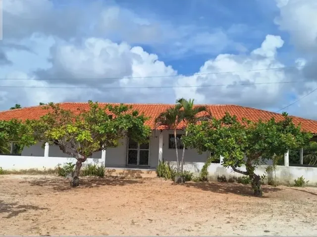 Imagem: SITIO RURAL em FORTIM - CE, OITIZEIRO