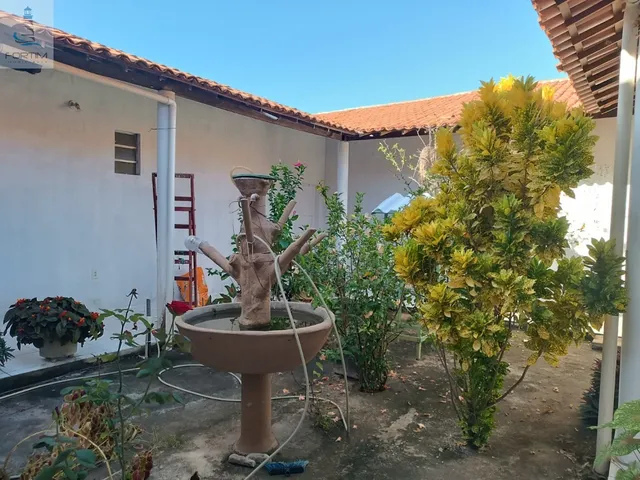 Imagem 6: SITIO RURAL em FORTIM - CE, OITIZEIRO