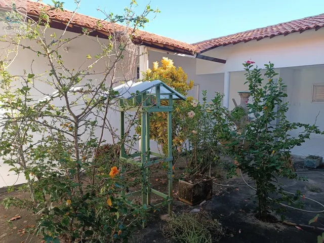 Imagem 12: SITIO RURAL em FORTIM - CE, OITIZEIRO