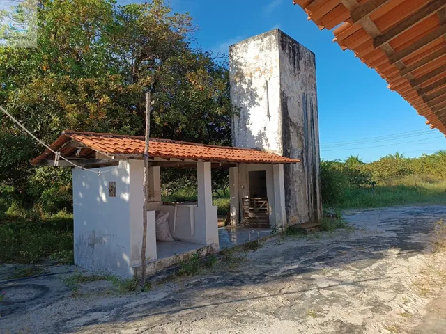 Imagem 3: SITIO RURAL em FORTIM - CE, OITIZEIRO