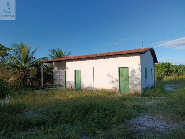 Imagem 14: SITIO RURAL em FORTIM - CE, OITIZEIRO