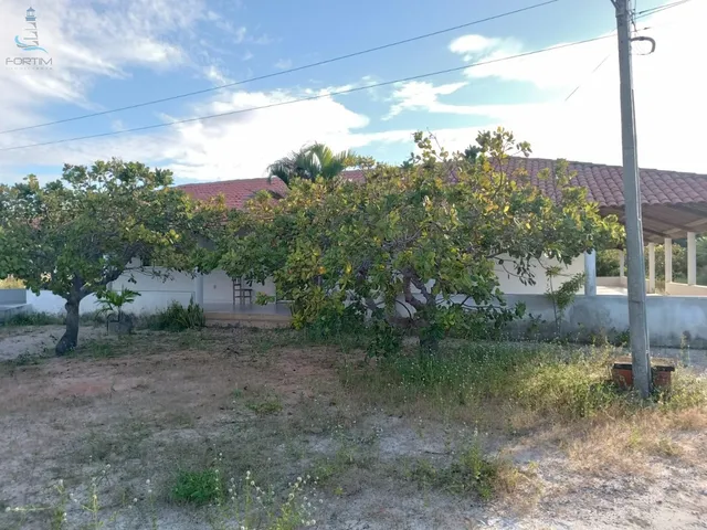 Imagem 15: SITIO RURAL em FORTIM - CE, OITIZEIRO