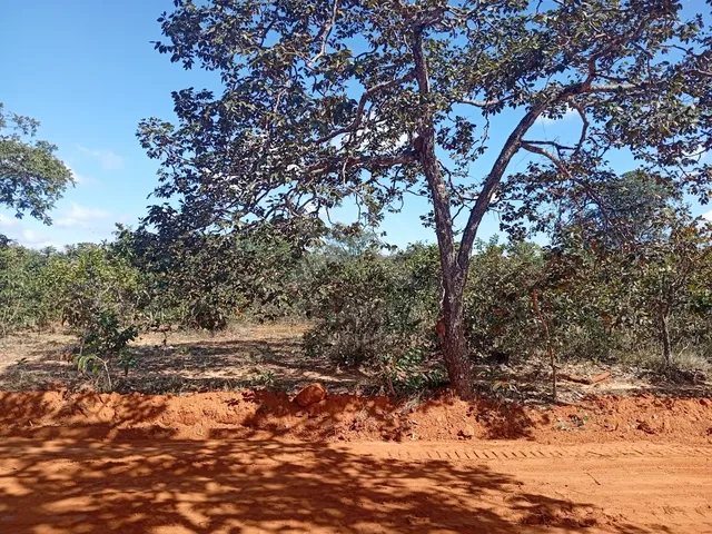 Imagem 9: CHACARA RURAL em Montes Claros - MG, Comunidade do Planalto
