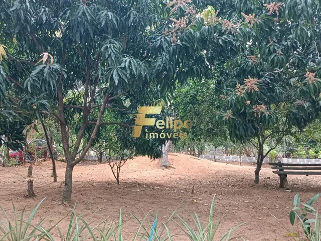 Imagem 13: LINDÍSSIMO SÍTIO COM 02 BANHEIROS, SENDO 01 SUÍTE, COM PISCINA, ÁRVORES FRUTÍFERAS
