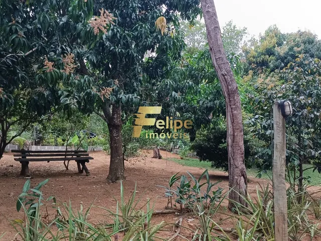 Imagem 11: LINDÍSSIMO SÍTIO COM 02 BANHEIROS, SENDO 01 SUÍTE, COM PISCINA, ÁRVORES FRUTÍFERAS
