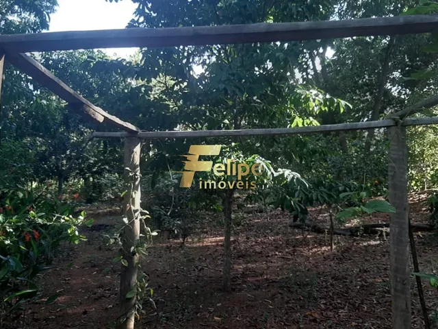 Imagem 8: LINDÍSSIMO SÍTIO COM 02 BANHEIROS, SENDO 01 SUÍTE, COM PISCINA, ÁRVORES FRUTÍFERAS
