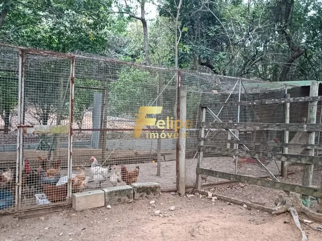 Imagem 2: LINDÍSSIMO SÍTIO COM 02 BANHEIROS, SENDO 01 SUÍTE, COM PISCINA, ÁRVORES FRUTÍFERAS