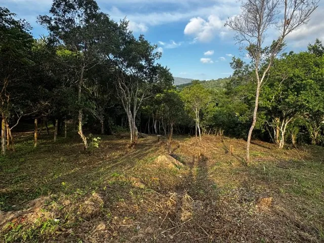 Imagem: TERRENO RESIDENCIAL em FLORIANÓPOLIS