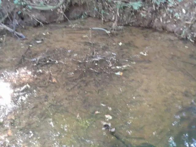 Imagem 14: Sitio em boituva 20 mil metros Casa 2 dormitório Sala Cozinha Banheiro Varanda Casa
