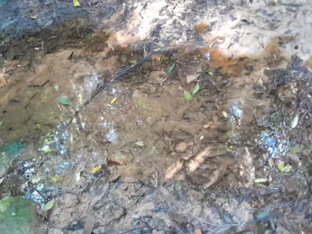 Imagem 6: Sitio em boituva 20 mil metros Casa 2 dormitório Sala Cozinha Banheiro Varanda Casa