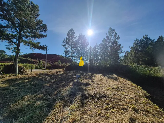 Imagem 13: Terreno de Esquina com 870M² em Timbó-Sc