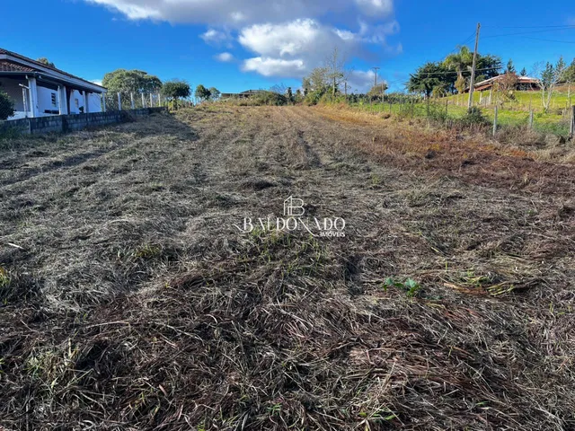 Imagem 10: TERRENO A VENDA EM MUNHOZ MG 1.800 METROS A 14KM DO CENTRO