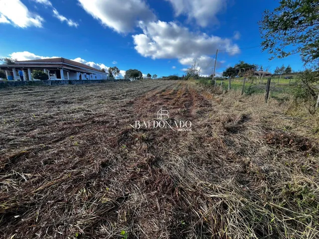 Imagem 11: TERRENO A VENDA EM MUNHOZ MG 1.800 METROS A 14KM DO CENTRO