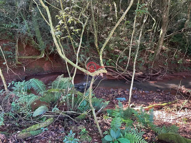 Imagem 7: EXCELENTE CHÁCARA EM CONCÓRDIA DO OESTE CONTENDO 24.200M²