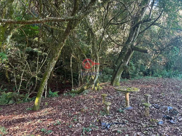 Imagem 8: EXCELENTE CHÁCARA EM CONCÓRDIA DO OESTE CONTENDO 24.200M²