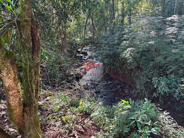 Imagem 9: EXCELENTE CHÁCARA EM CONCÓRDIA DO OESTE CONTENDO 24.200M²