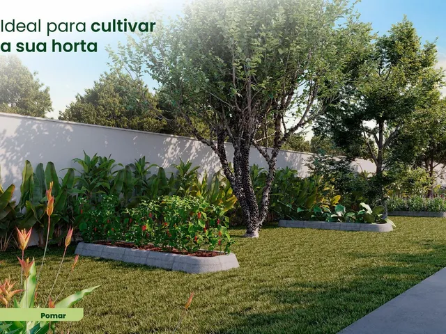 Imagem 3: IDEAL LIBERDADE – Apto Compacto com Excelente Localização