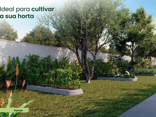 Imagem 12: IDEAL LIBERDADE – Apto com Pet Place, Playground e Pomar