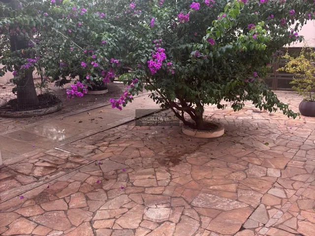 Imagem 8: Casa de alto padrão no bairro Santa rosa em Cuiabá com potencial comercial