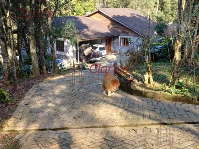 Imagem 16: Belissima chácara, aproximadamente 6 km adiante do roteiro Turístico Caminho do Vinho