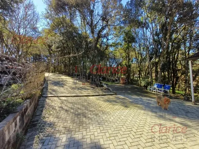 Imagem 10: Belissima chácara, aproximadamente 6 km adiante do roteiro Turístico Caminho do Vinho