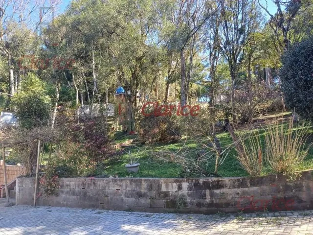 Imagem 11: Belissima chácara, aproximadamente 6 km adiante do roteiro Turístico Caminho do Vinho