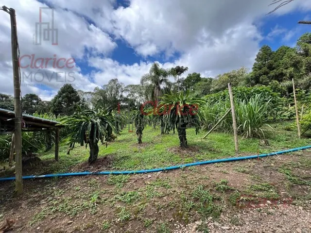 Imagem 14: Maravilhosa chácara, 100% aproveitada e documentada. Para você que sonha em viver junto