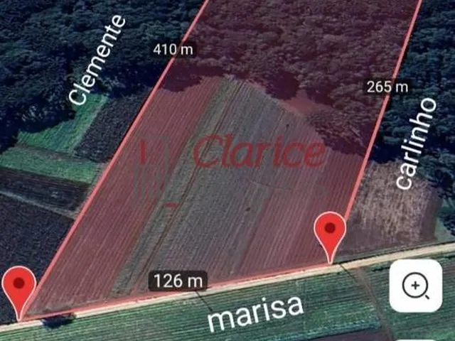 Imagem: Belíssima área rural, sem benfeitorias