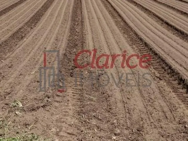 Imagem 3: Belíssima área rural, sem benfeitorias, localizada na Colônia Inhaiva, área rural de
