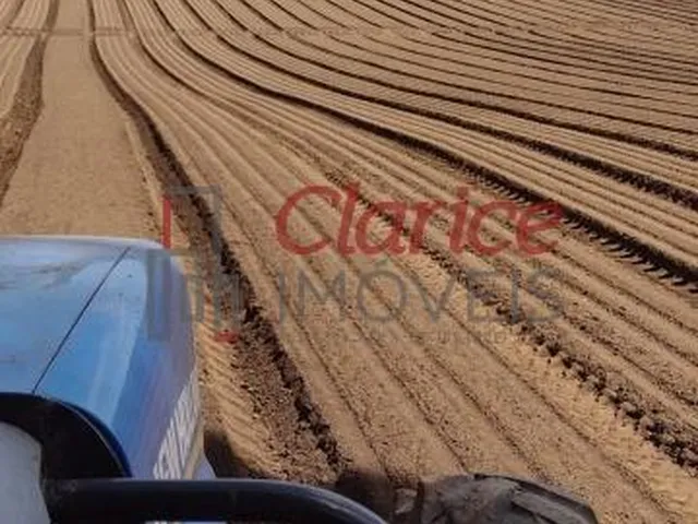 Imagem 6: Belíssima área rural, sem benfeitorias, localizada na Colônia Inhaiva, área rural de
