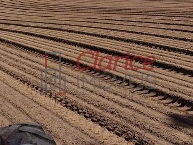 Imagem 4: Belíssima área rural, sem benfeitorias, localizada na Colônia Inhaiva, área rural de