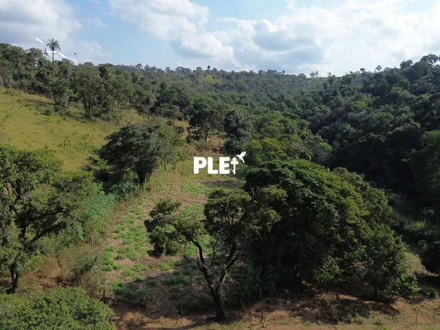 Imagem 5: Fazenda de 62 hectares à venda próxima ao centro de Vespasiano