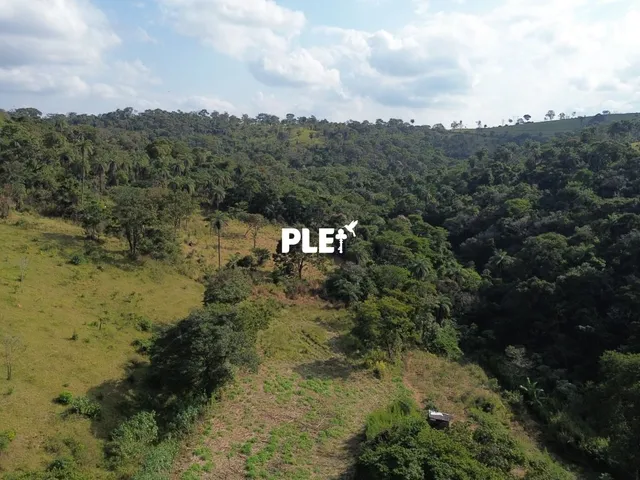 Imagem 11: Fazenda de 62 hectares à venda próxima ao centro de Vespasiano