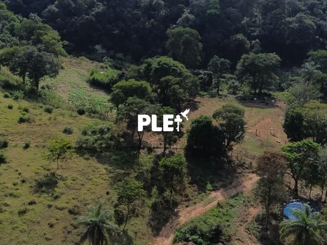 Imagem 13: Fazenda de 62 hectares à venda próxima ao centro de Vespasiano