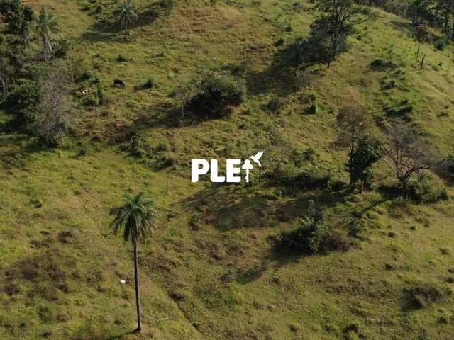 Imagem 12: Fazenda de 62 hectares à venda próxima ao centro de Vespasiano